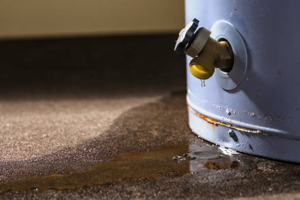 Professional Water damage restoration in Santa Rosa Valley, CA